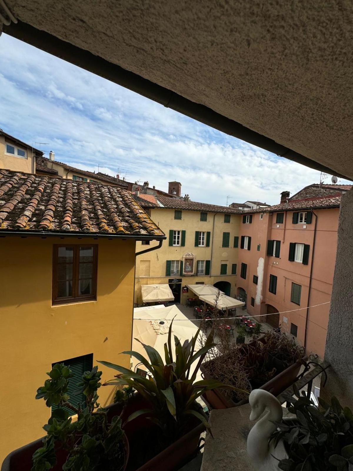 Micheli Anfiteatro Square *