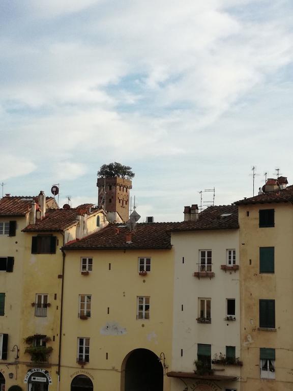 Affittacamere Micheli Anfiteatro Square